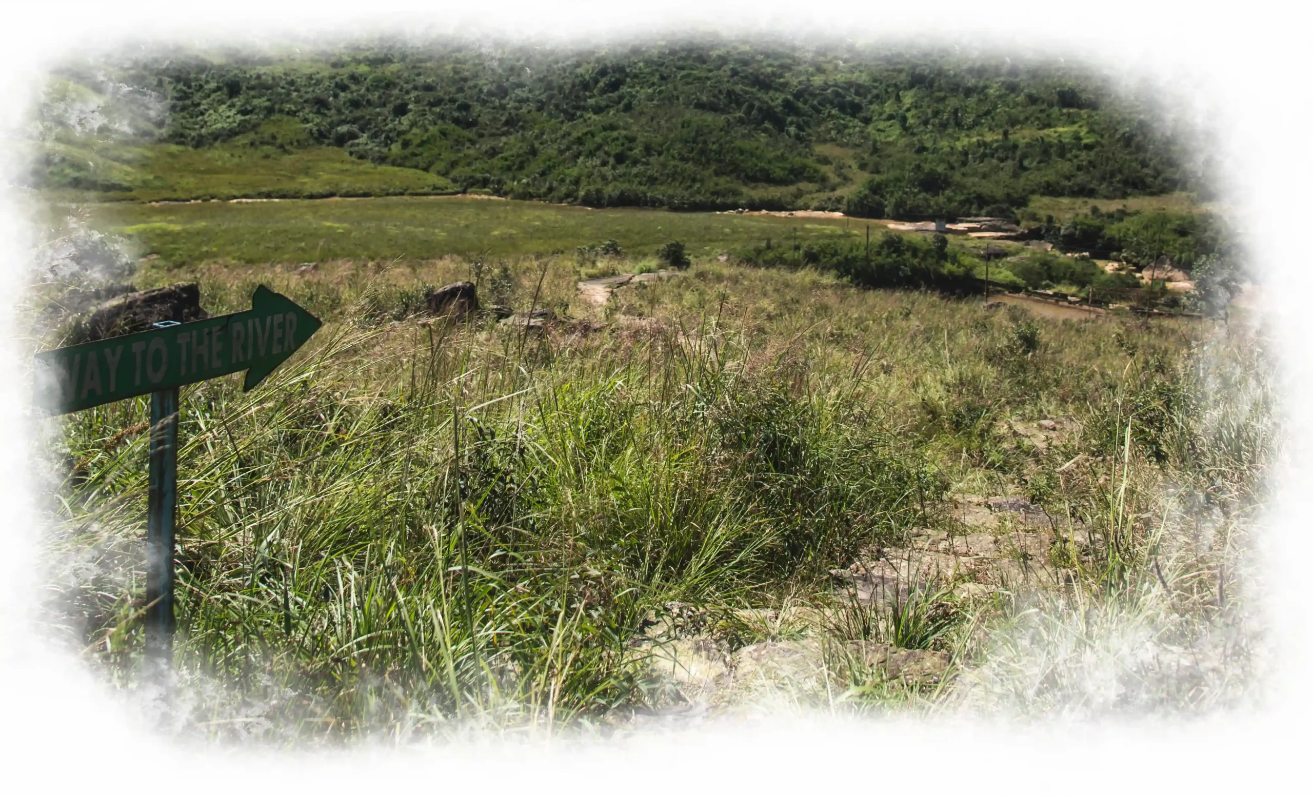 River stream inside the Sa-I-Mika property