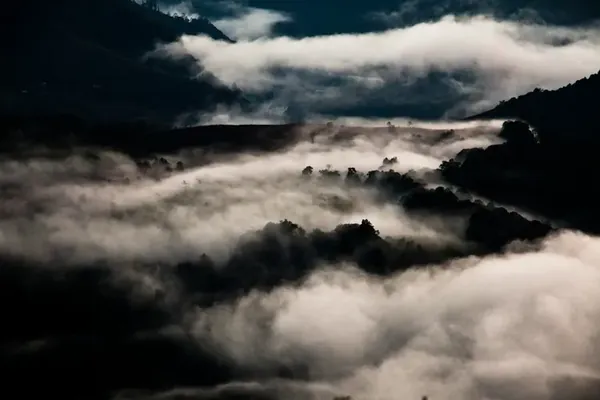 Forested hills rising through rolling clouds
