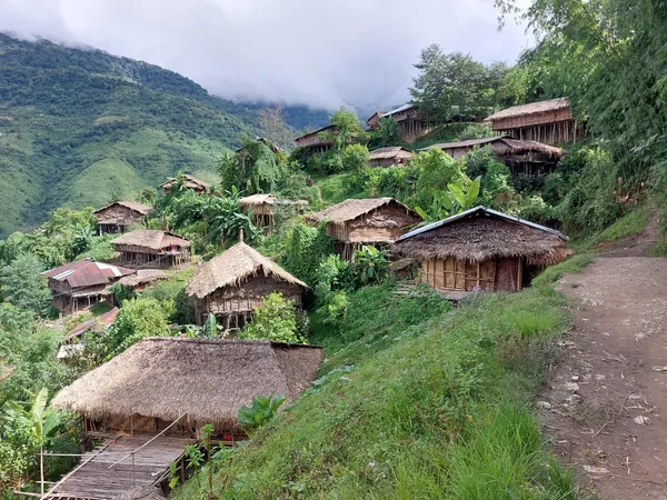 Thatched houses in a hillside village