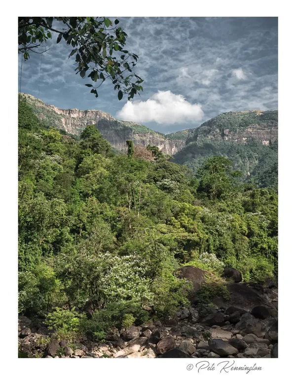 A river crossing in the green gorges of Meghalaya