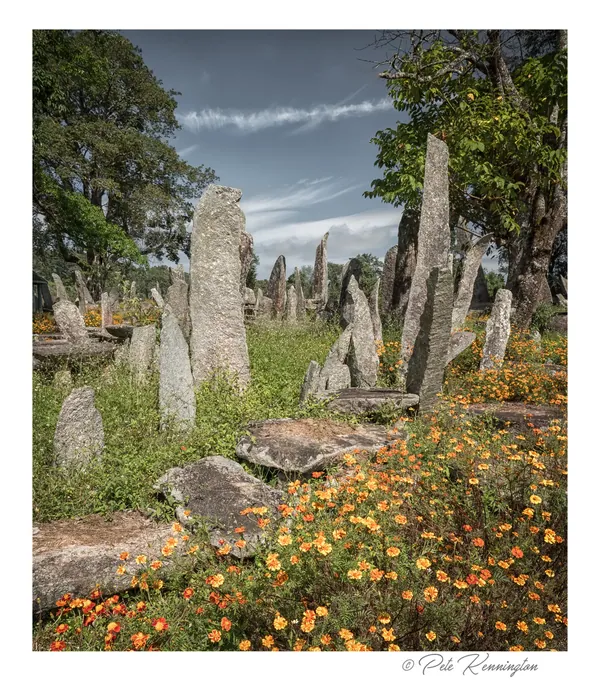 Standing stones among flowers at the Nartiang megaliths