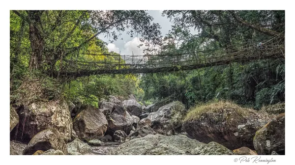 Ritymmon, a 30-metre living root bridge spanning a rocky stream in Meghalaya