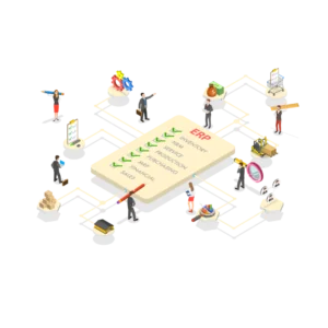 Customized ERP Solution for a manufacturing company